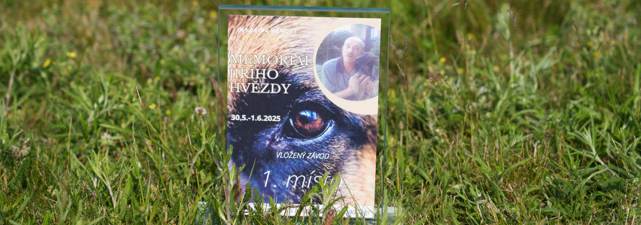 Memorial Jiřího Hvězdy