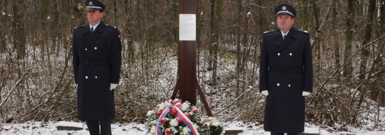 bystrovany_0.jpg