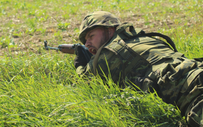 41.velitel_jedmotky_rozdava_povely.jpg
