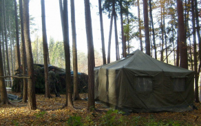 06.jpg