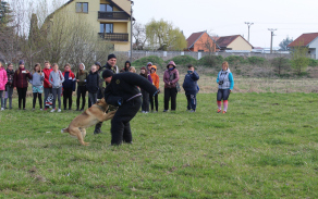Výcvik psů