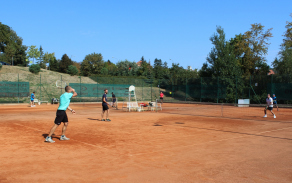 Tenis