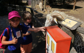 Návštěva ZOO