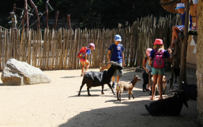 Návštěva ZOO