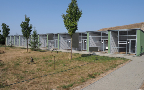6_soucasti_modernizovanych_prostor_je_dvanact_volier.jpg