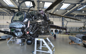 d4s_1575.jpg