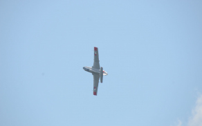 L-29 Delfín