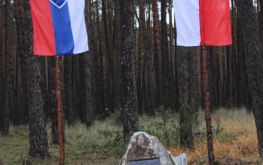 pomník Františka Maxy nedaleko Malacek