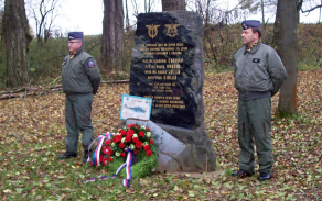 salatinice_3.jpg