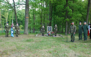 06.jpg