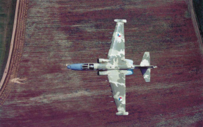 8su251024.jpg