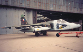 9su251024.jpg
