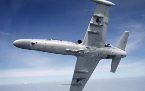 alca10_1024.jpg