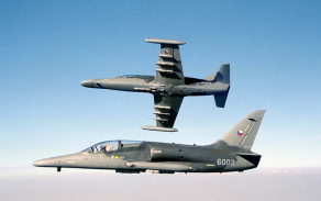 alca11_1024.jpg