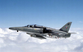 alca12_1024.jpg