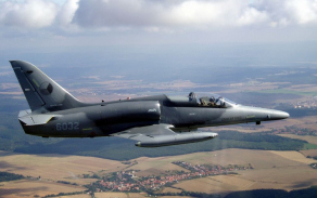 alca14_1024.jpg