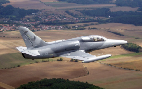alca15_1024.jpg