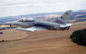 alca16_1024.jpg