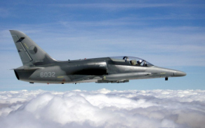 alca17_1024.jpg