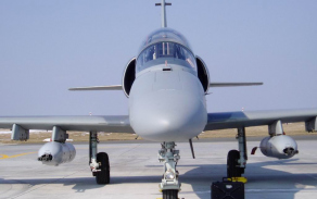 alca19_1024.jpg