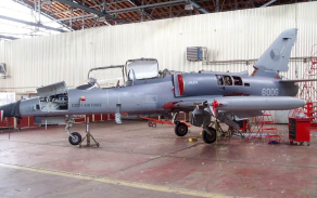 alca21_1024.jpg