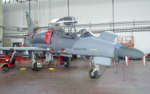 alca22_1024.jpg