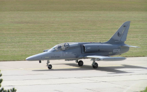 alca23_1024.jpg