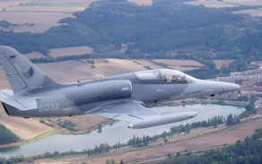 alca24_1024.jpg