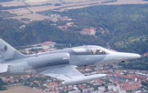alca25_1024.jpg