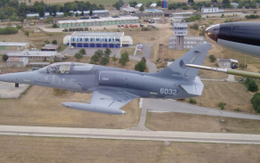 alca26_1024.jpg