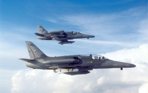 alca2_1024.jpg
