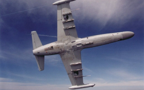 alca3_1024.jpg