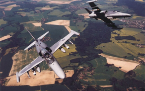 alca4_1024.jpg