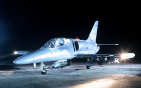 alca7_1024.jpg