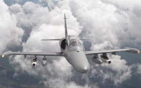 alca8_1024.jpg