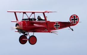 dsc_8470.jpg