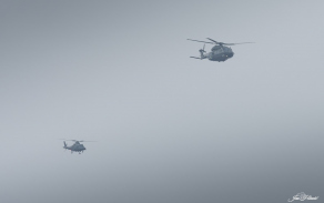 fot.dng_16.jpg